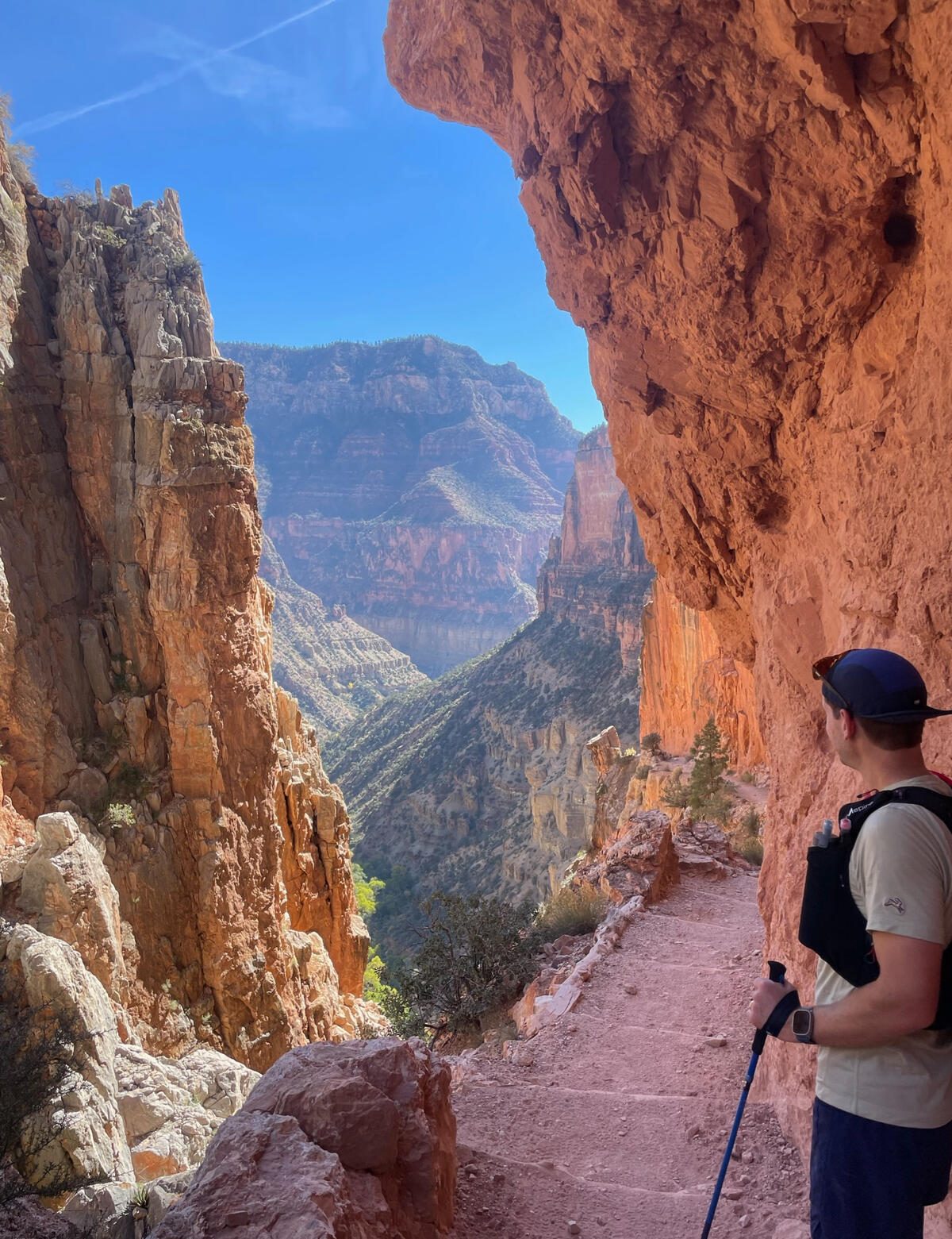 Runner Looking Back On The Grand Canyon
